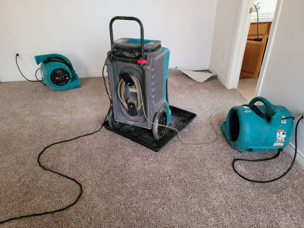 Best Water damage cleanup near me  in Bent, NE
