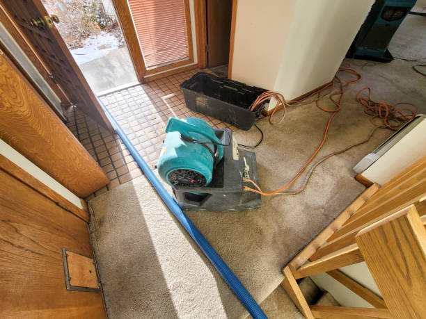 Best Local water damage restoration  in Bent, NE