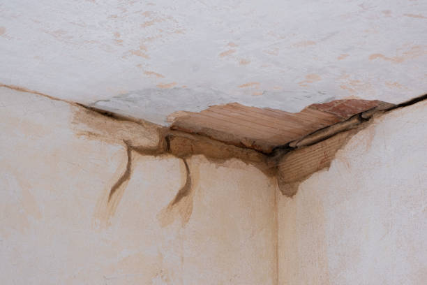 Best Water damage restoration mold remediation  in Bent, NE