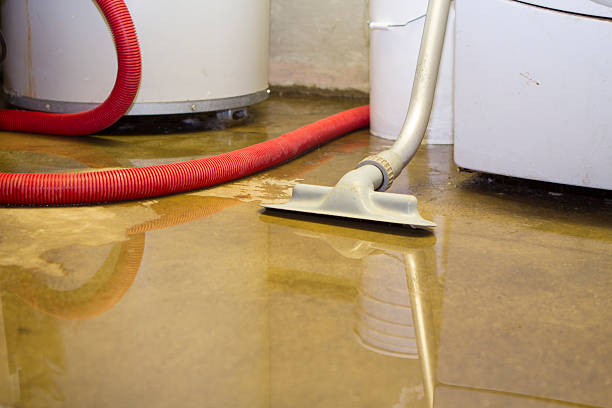 Best Sewage cleanup and water damage restoration  in Bent, NE