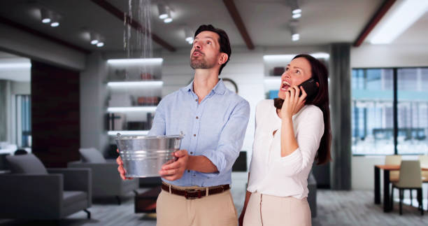 Best Commercial water damage restoration  in Bent, NE