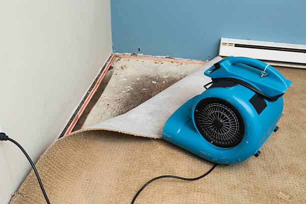 Bennet, NE Water damage restoration Company
